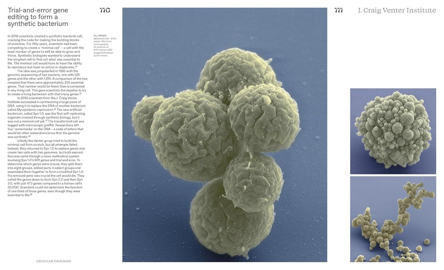  Alive: Synthetic cells, feral robots, rebellious AI, and the design of radical life 