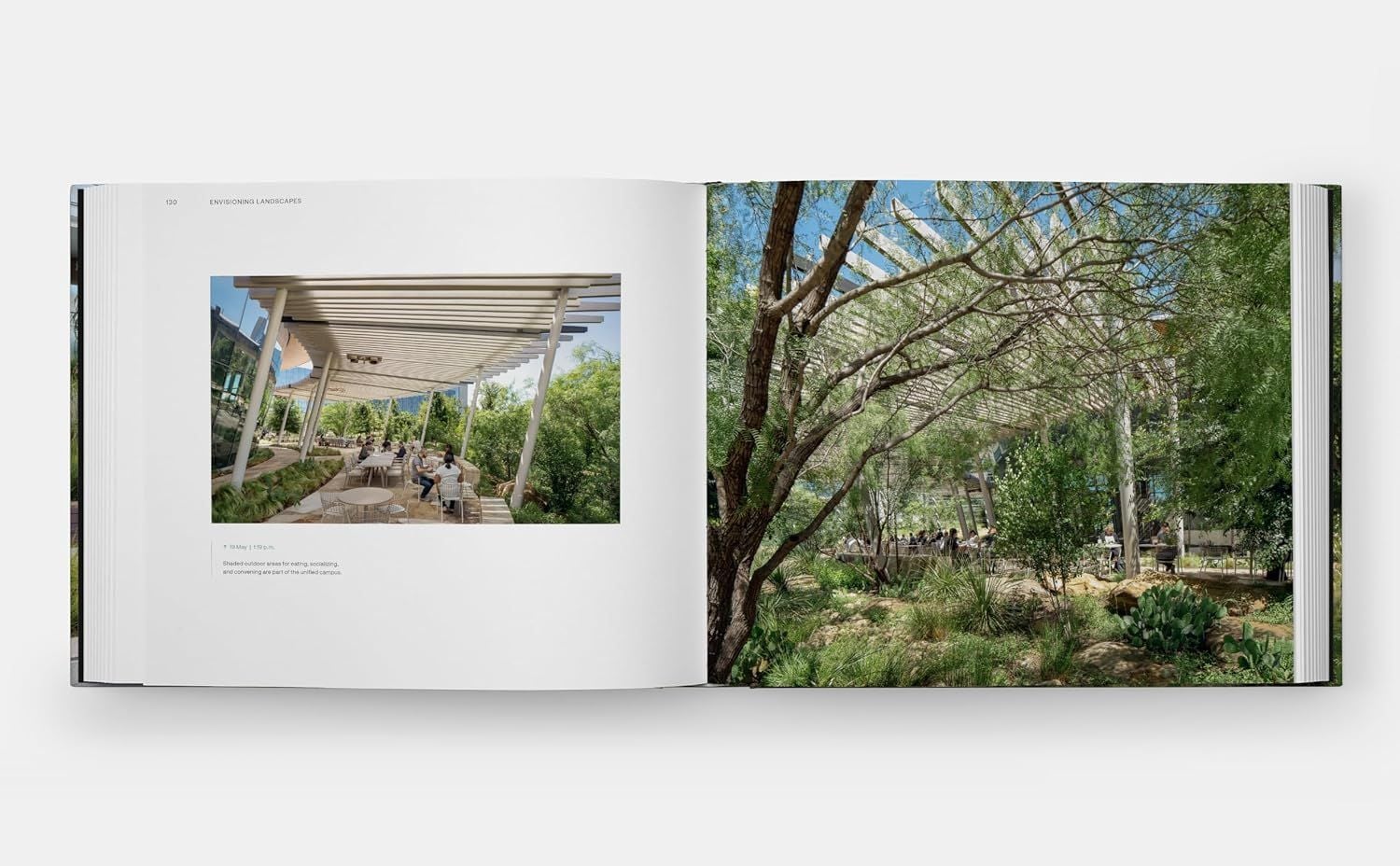  Envisioning Landscapes: The Transformative Environments of OJB 