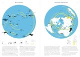  Phenomena: An Infographic Guide to Almost Everything 
