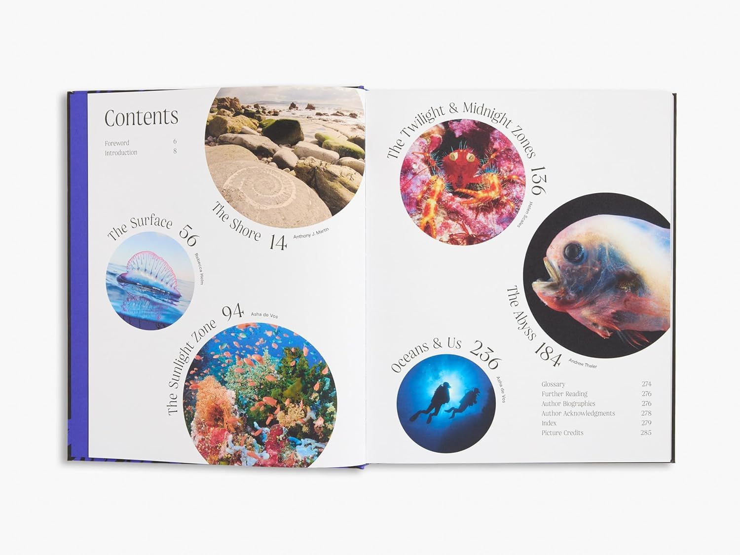  Ocean: From the Shore to the Abys 