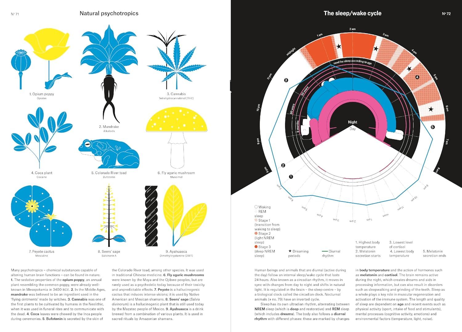  Phenomena: An Infographic Guide to Almost Everything 