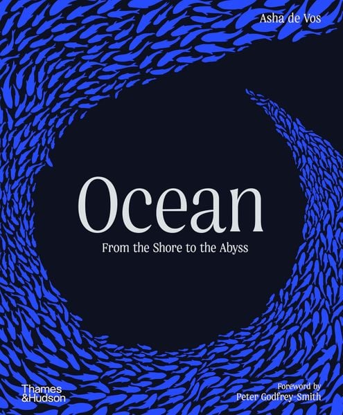Ocean: From the Shore to the Abys