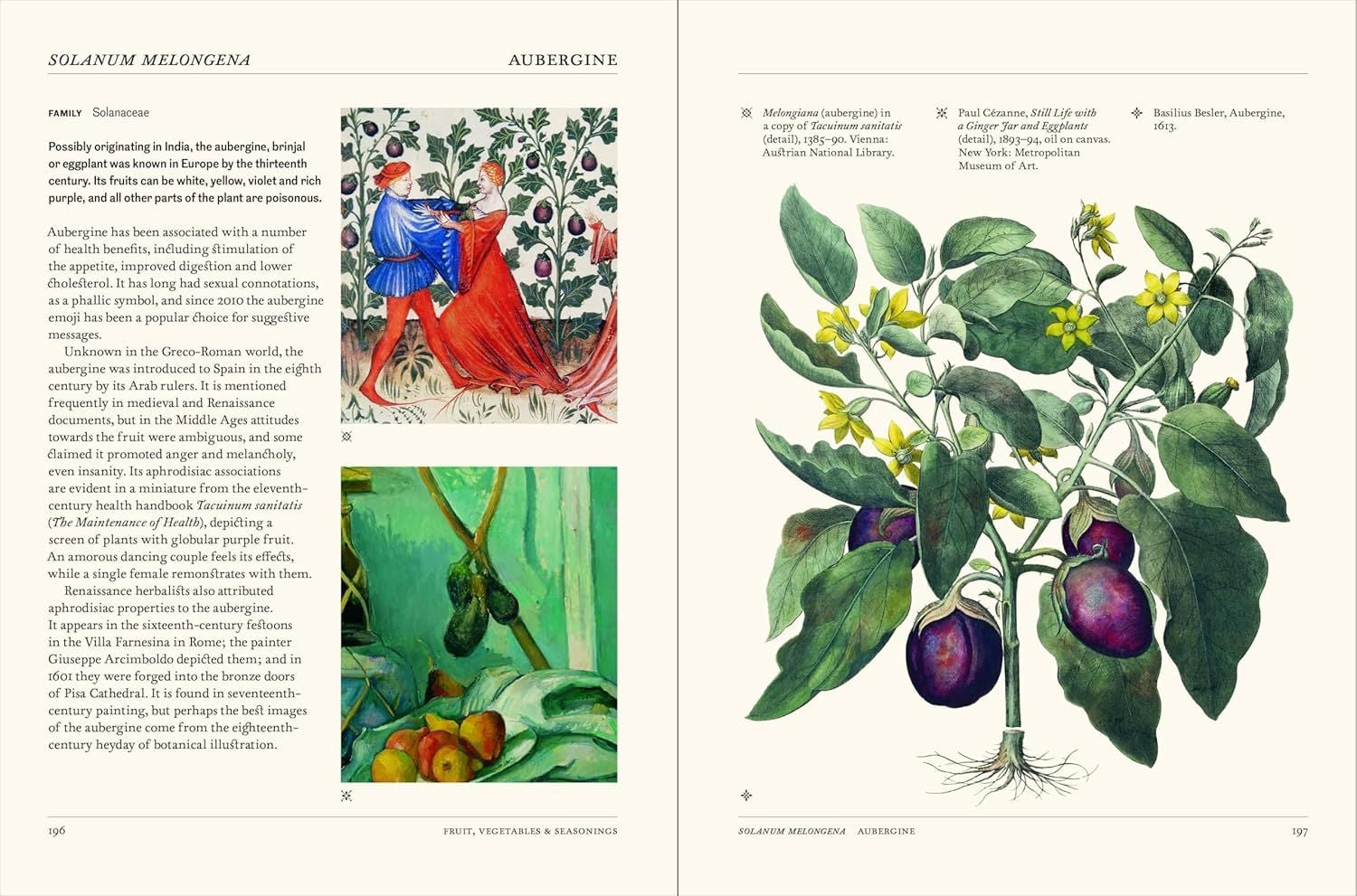  Thames Hudson The Secret Language of Plants Art, Nature Symbolism anglais. 