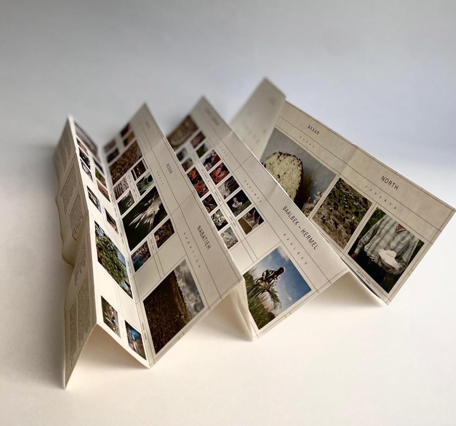  The Land Remembers: A Collective Exploration into the Possibilities for Regeneration 