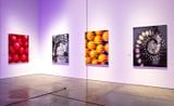  Raúl Cordero: Heaven Is a Place in the Mind 