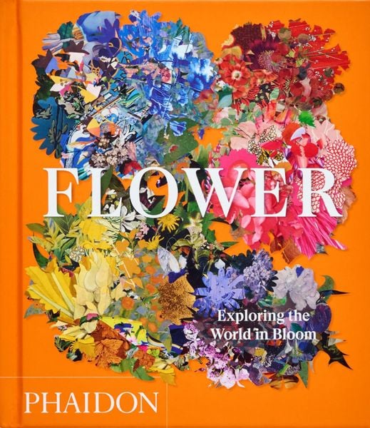 Flower: Exploring the World in Bloom