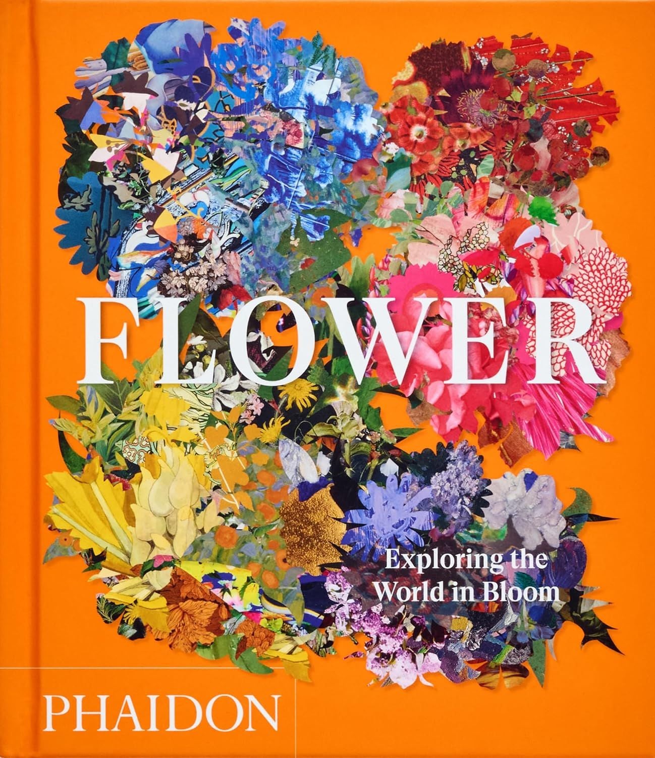  Flower: Exploring the World in Bloom 