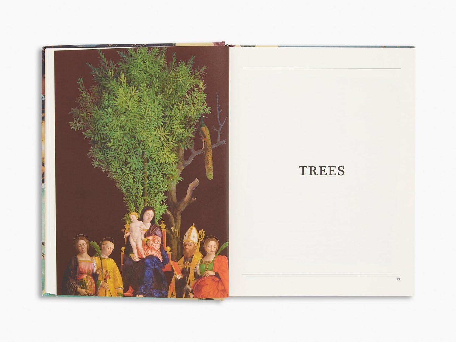  Thames Hudson The Secret Language of Plants Art, Nature Symbolism anglais. 