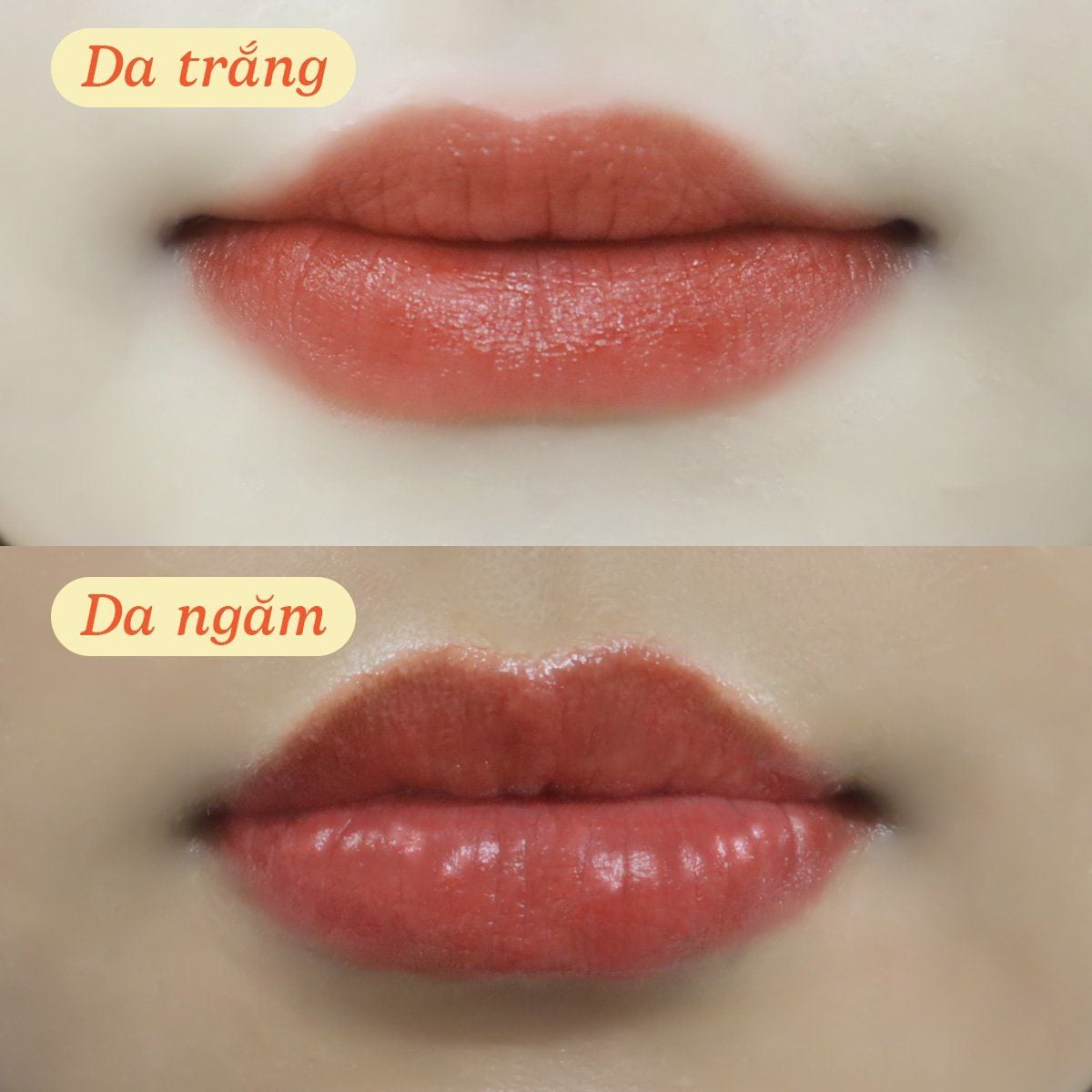  Son dưỡng có màu kiêm má hồng giúp làm hồng môi và má tự nhiên BareSoul Lip & Cheek Tint 10g 