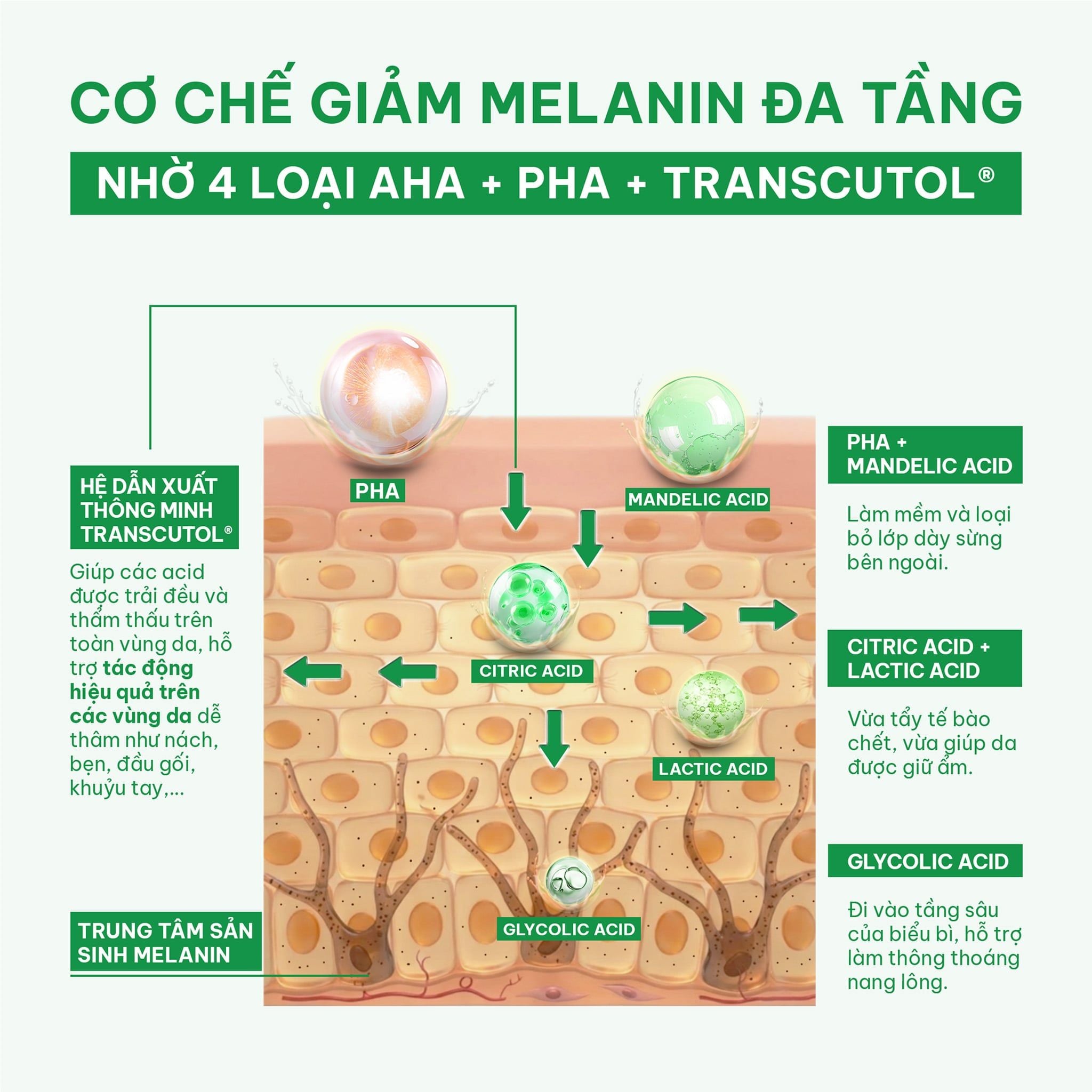  (Công thức mới) Tinh chất tẩy da chết cơ thể cho nách, bikini, đầu gối, khuỷu tay BareSoul Glowy Body Peel Solution 50g - 1.76 oz 