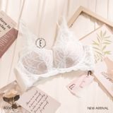  Áo ren không gọng đệm mỏng A3369 