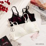  Áo ren mỏng không gọng A6381 