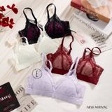  Áo ren mỏng không gọng A6381 
