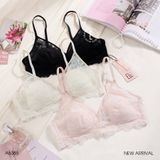  Áo ren mỏng A6385 