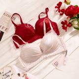  Áo viền ren không gọng A7554 