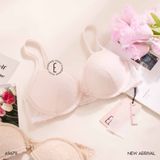  Áo lót ren mỏng có gọng A9679 