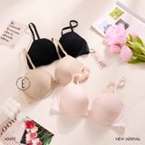  Áo lót ren mỏng có gọng A9679 