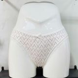 Quần lót thun cotton Q2079 
