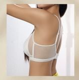  Áo không gọng đệm mỏng A4971 