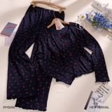  Bộ thun 3 món PM5696 