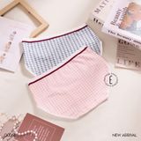  Quần lót thun cotton Q0063 