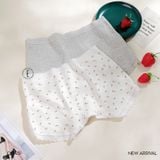  Quần thun boxer Q1545 