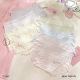  Quần lót thun viền ren Q1549 