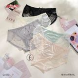  Quần lưới phối Q1550 