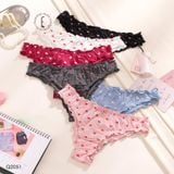  Quần lót thun cotton mềm Q2051 