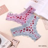  Quần lót thun cotton mềm Q2061 