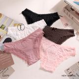  Quần lót thun cotton Q2079 