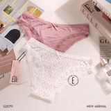  Quần lót thun cotton Q2079 