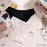  Quần lót thun cotton Q2079 
