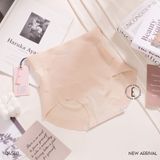  Quần lót su cạp cao Q4560 