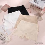  Quần lót đùi Q4799 