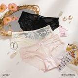  Quần lót ren đan dây Q7107 