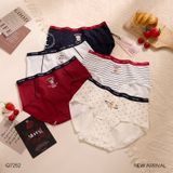  Quần lót thun cotton mềm Q7252 