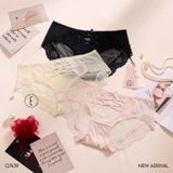  Quần lót lưới mềm Q7439 