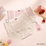  Quần lót cotton mềm cạp cao Q8218 