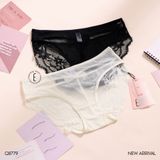  Quần lưới Q8779 