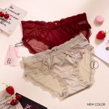  Quần lưới viền ren Q8799 