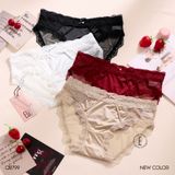  Quần lưới viền ren Q8799 