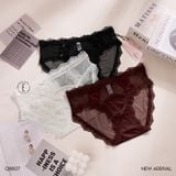  Quần lót lưới viền ren Q8807 