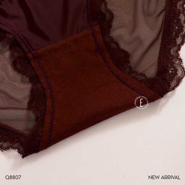  Quần lót lưới viền ren Q8807 