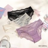  Quần ren lưới Q8878 