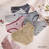  Quần lót thun cotton sọc ngang Q9520 