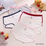 Quần thun cotton Q9527 