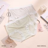  Quần lót thun Q9605 