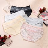  Quần lót thun cotton mềm Q9707 