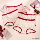  Quần lót cotton mềm cạp cao Q9977 